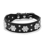 Rhinestone Dog and Cat Collars