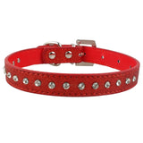 Rhinestone Dog and Cat Collars