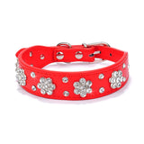 Rhinestone Dog and Cat Collars