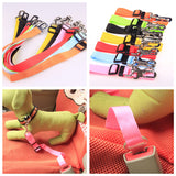 FREE Pet Seatbelt Leash Promotion