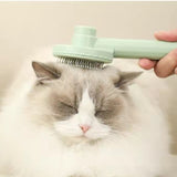 Dog and Cat Grooming Brush