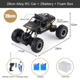 All-Terrain Remote Control Truck for Kids