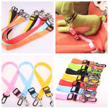 FREE Pet Seatbelt Leash Promotion