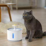 Pet Drinking Fountain