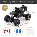 All-Terrain Remote Control Truck for Kids