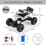 All-Terrain Remote Control Truck for Kids