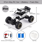 All-Terrain Remote Control Truck for Kids