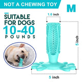 Dog Toothbrush